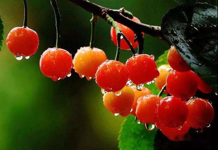 上?？婆d儀器