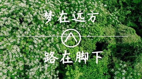 上?？婆d儀器